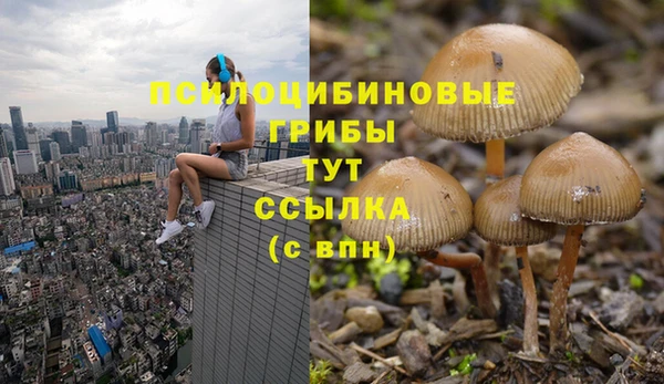Альфа ПВП Алзамай