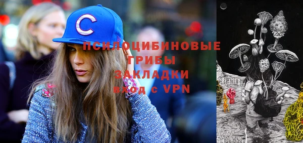2c-b Алексин